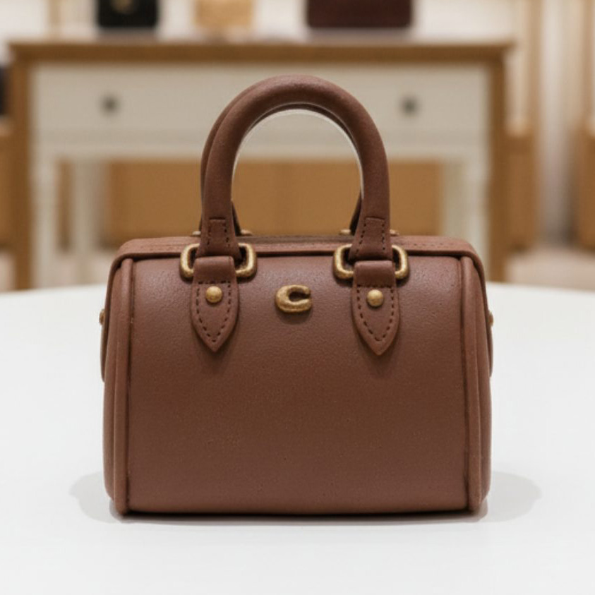 Sac Coach en chocolat